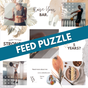 puzzle fitness 3